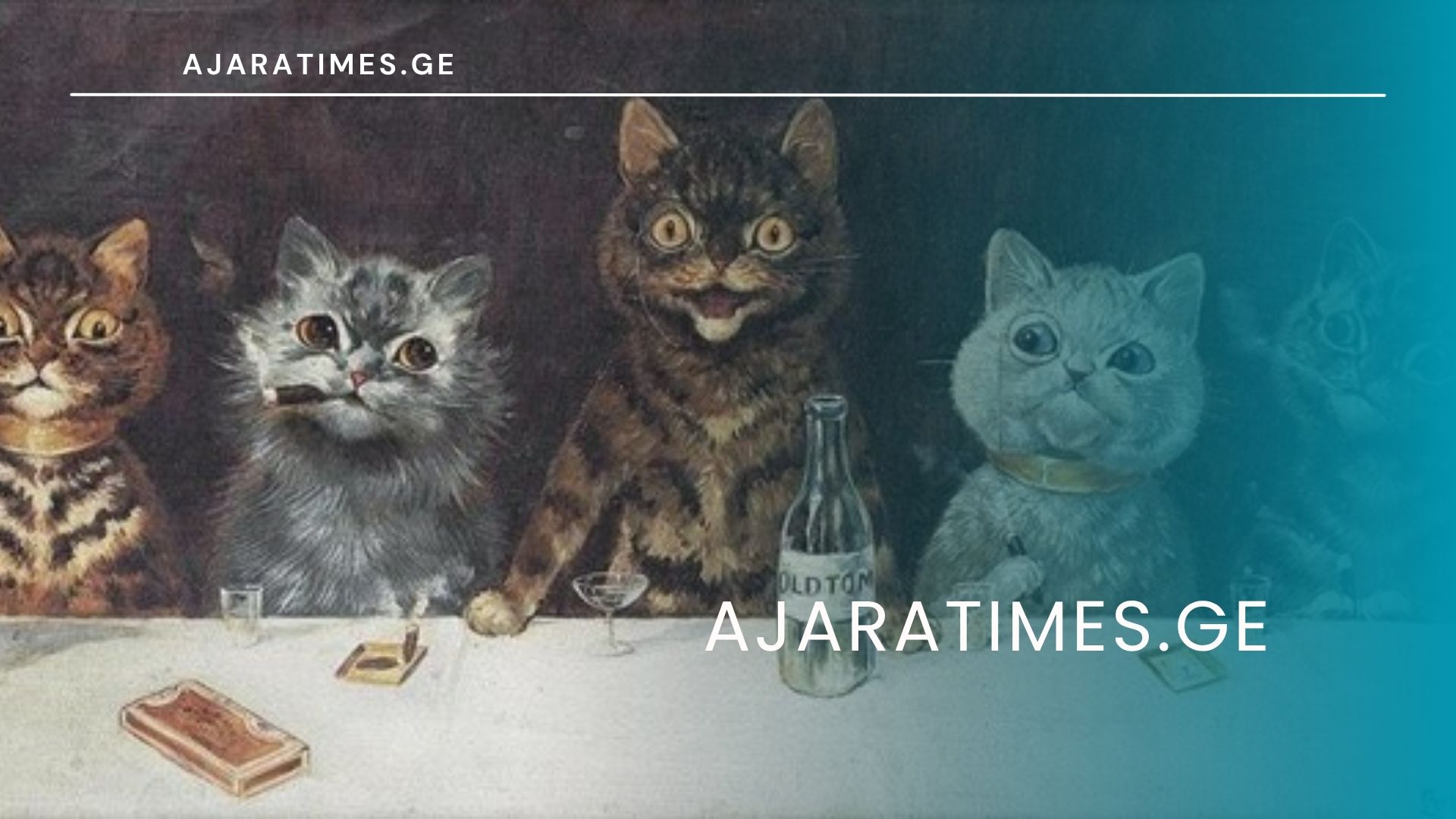 cxovelebi_AJARATIMES.GE (1)