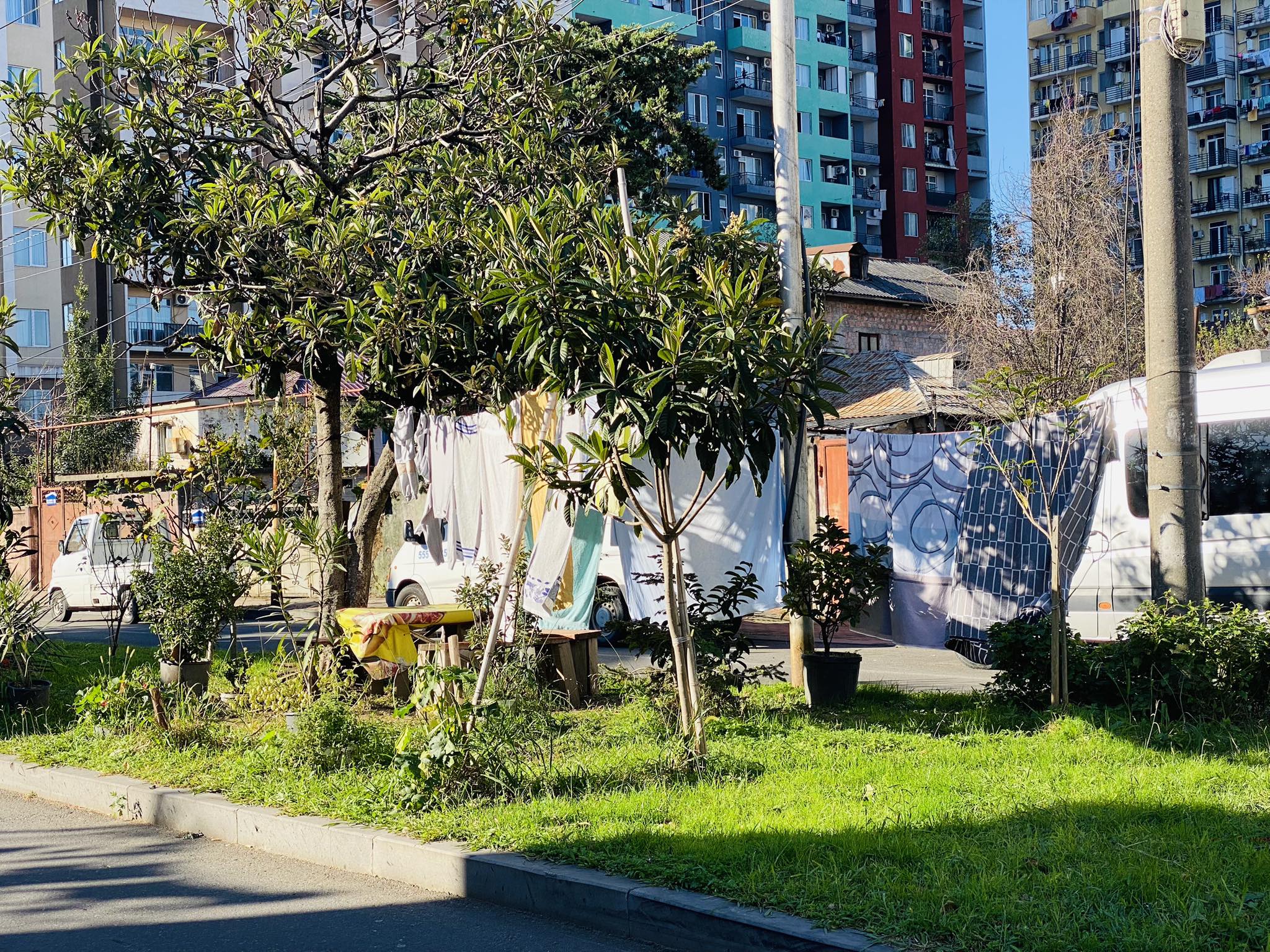 amindi_ajaratimes.ge