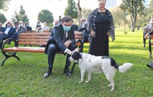 kupata_ajaratimes.ge