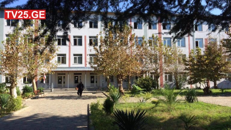 qobuletis.skola_ajaratimes.ge