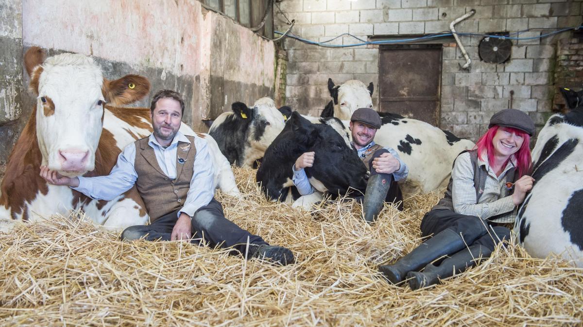 dzroxebi_ajaratimes.ge