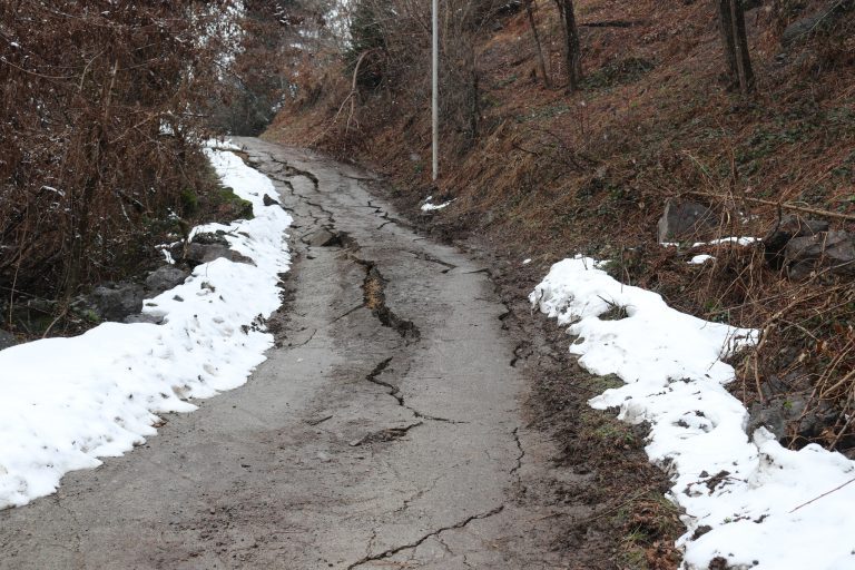 mewyeri_ajaratimes.ge