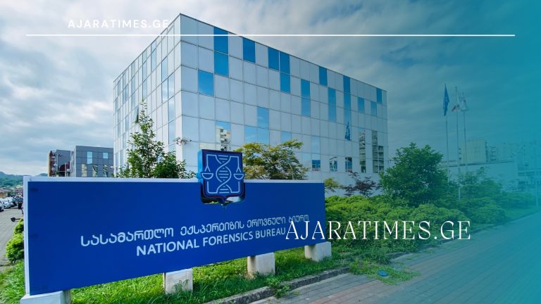 samxarauli, eqspertiza