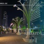 gmirta xeivani_AJARATIMES.GE