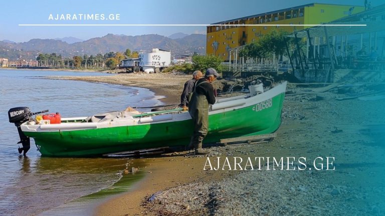 METEVZE_AJARATIMES.GE