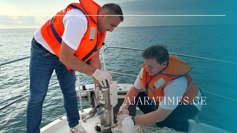 wylis xarisxi zgva_AJARATIMES.GE