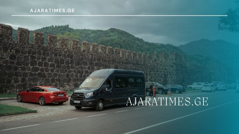 gonios mikroavtobusi_AJARATIMES.GE