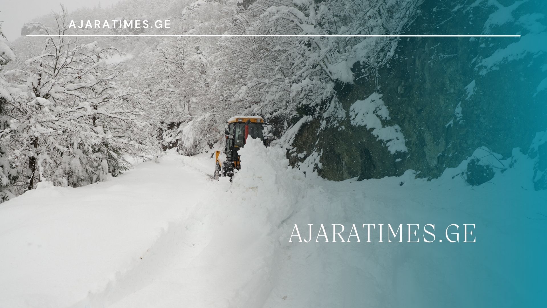 tovli_AJARATIMES.GE