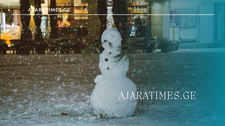 tovli_AJARATIMES.GE (1)