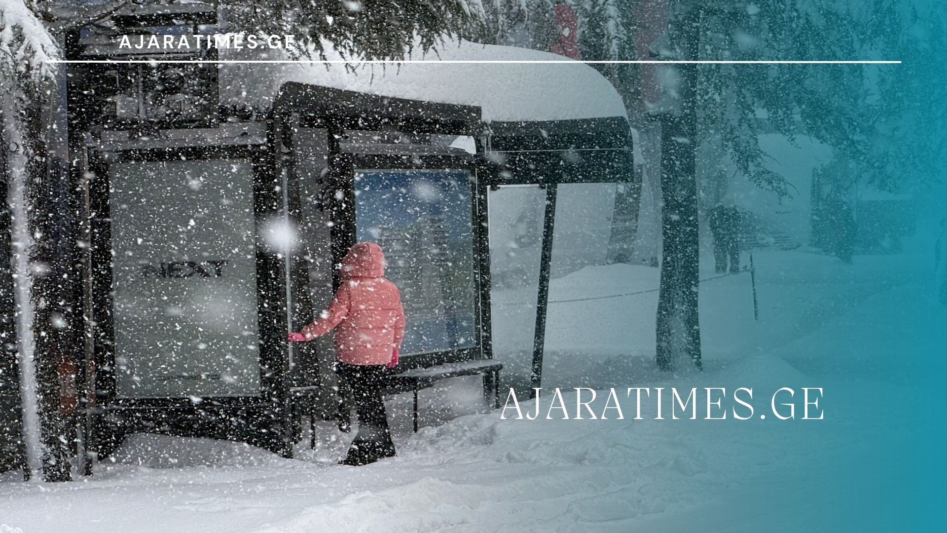 tovli_AJARATIMES.GE
