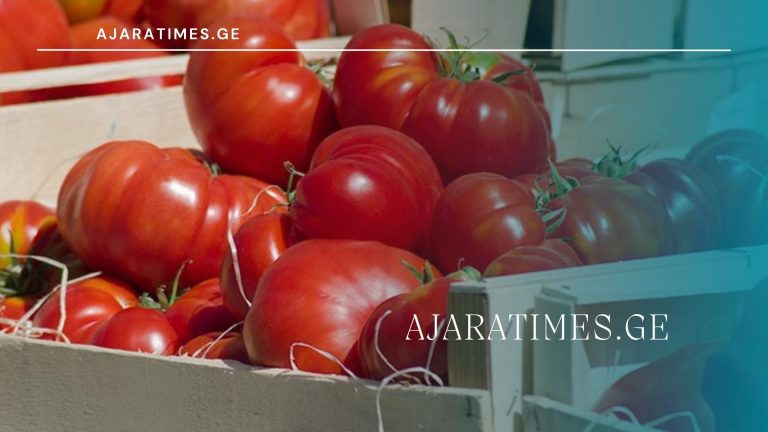 pomidori_AJARATIMES.GE (1)