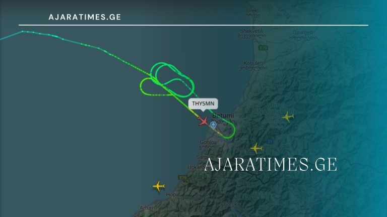 tvitmfrinavi_AJARATIMES.GE