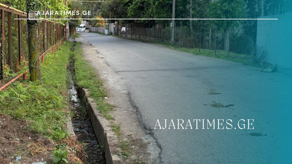 saniagvre arxi_AJARATIMES.GE