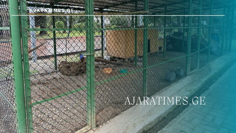 _AJARATIMES.GE