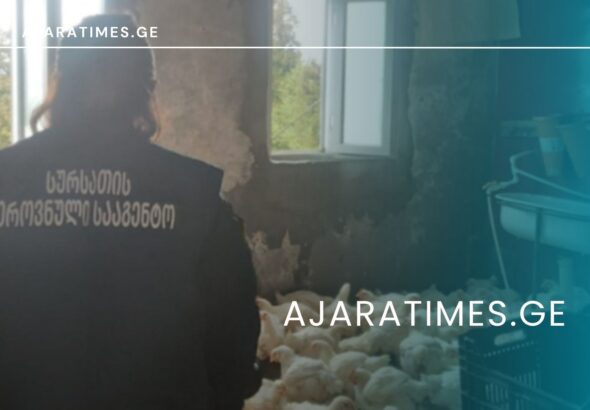 _AJARATIMES.GE