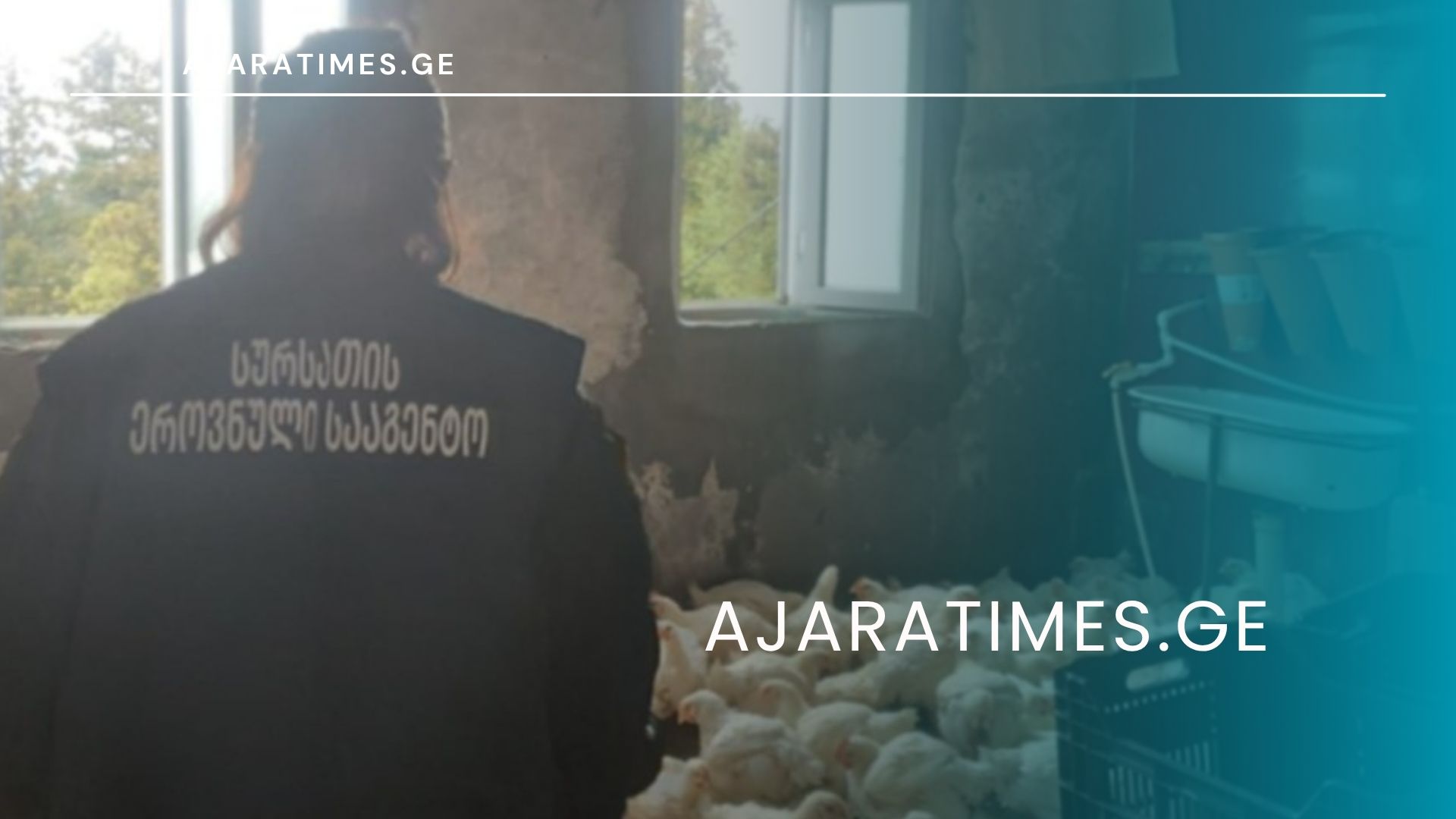 _AJARATIMES.GE