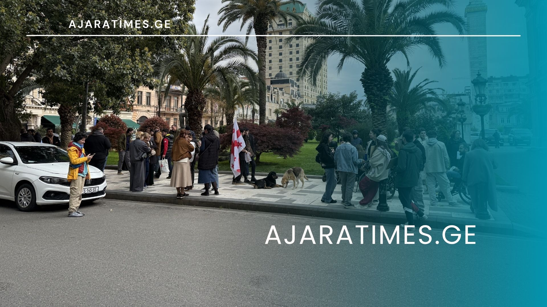 diushenis sinqromi,aqcia_AJARATIMES.GE