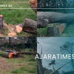 xeebis gachexva_AJARATIMES.GE