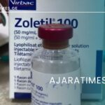 _AJARATIMES.GE