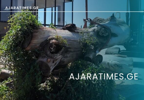 _AJARATIMES.GE