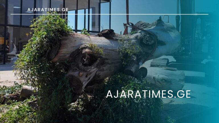 _AJARATIMES.GE
