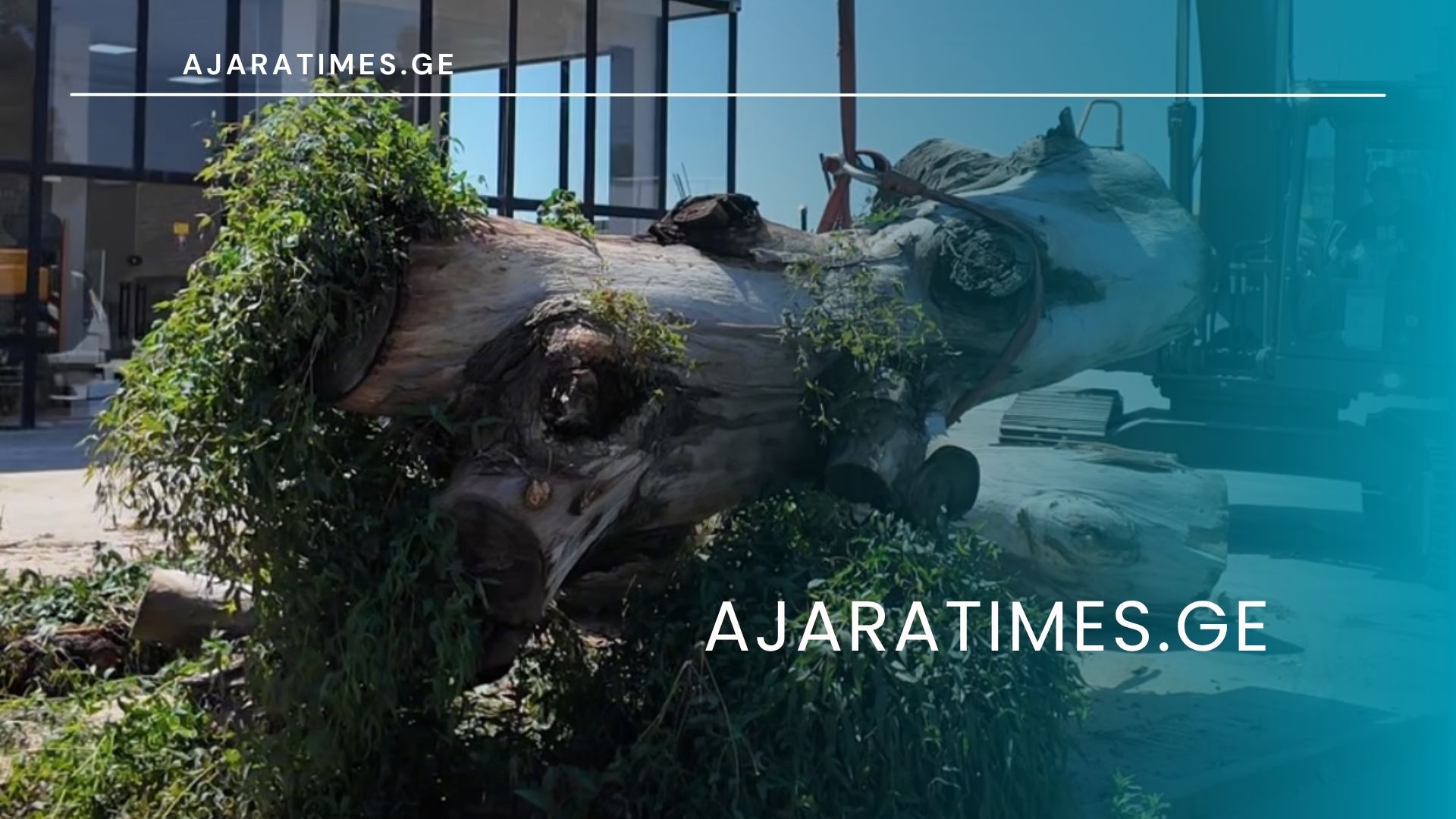 _AJARATIMES.GE