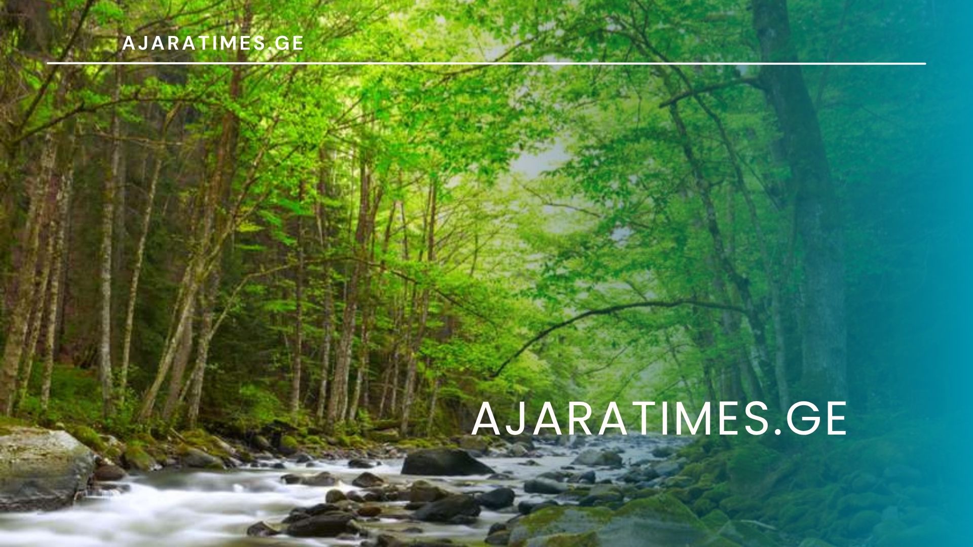 buneba_AJARATIMES.GE