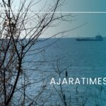 gemi, zgva, navi_AJARATIMES.GE