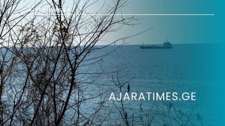 gemi, zgva, navi_AJARATIMES.GE