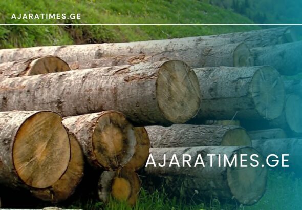 xe tye_AJARATIMES.GE