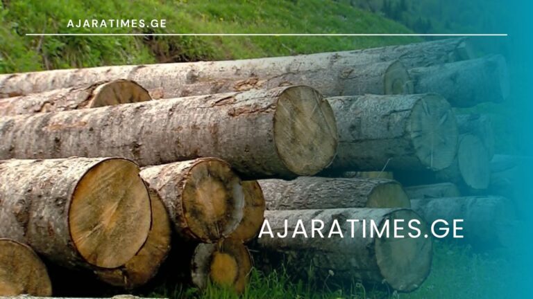 xe tye_AJARATIMES.GE