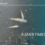 _AJARATIMES.GE