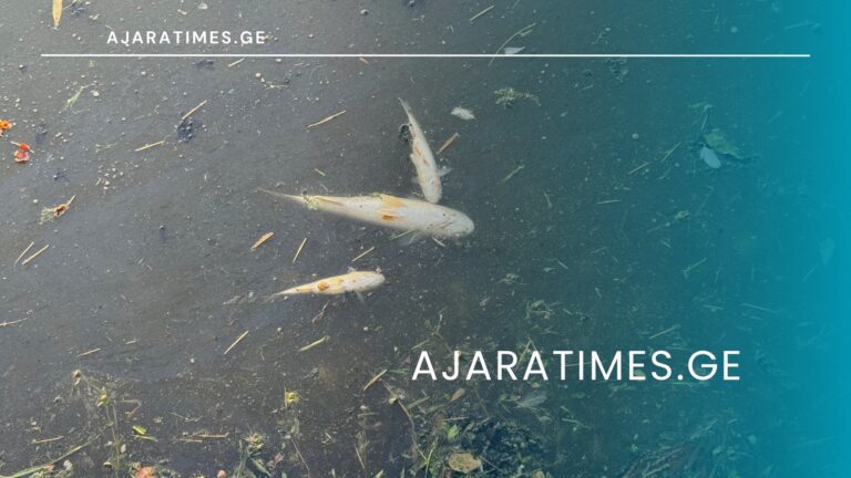 _AJARATIMES.GE