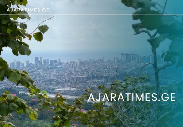 batumi, sofeli, batumis xedi_AJARATIMES.GE