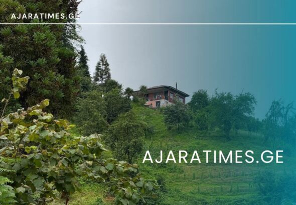 sofeli_AJARATIMES.GE