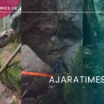 _AJARATIMES.GE