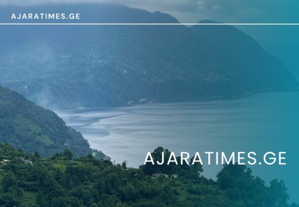 Sarfi_AJARATIMES.GE