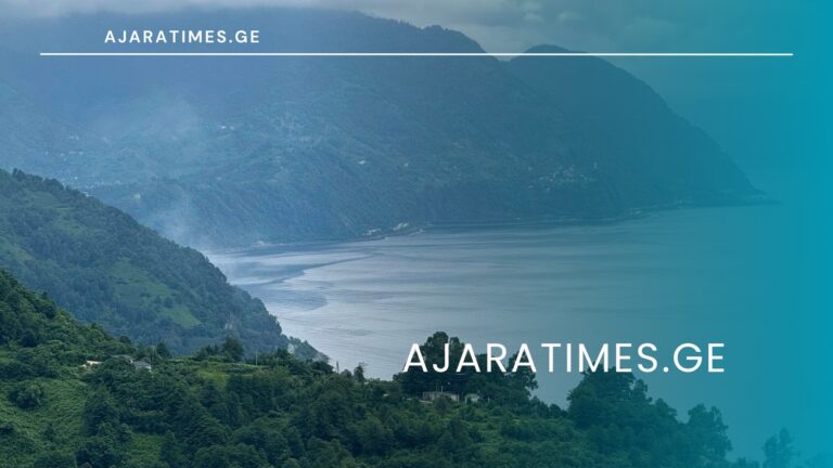 Sarfi_AJARATIMES.GE