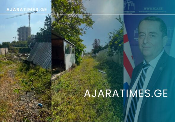 ilia verdzadze_AJARATIMES.GE
