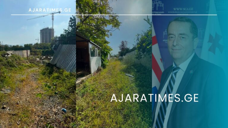 ilia verdzadze_AJARATIMES.GE