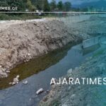 _AJARATIMES.GE (2)