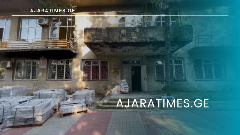 qobuletis biblioteka_AJARATIMES.GE