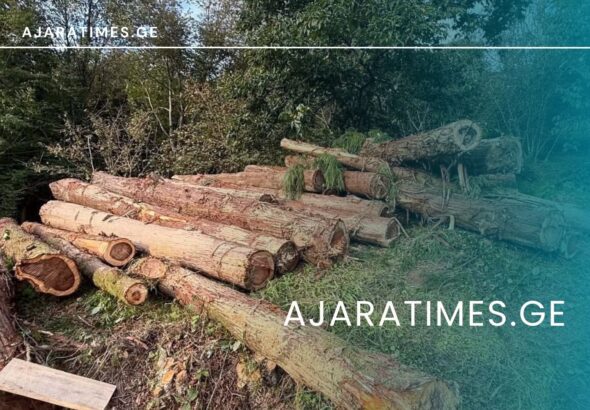 xe tye_AJARATIMES.GE