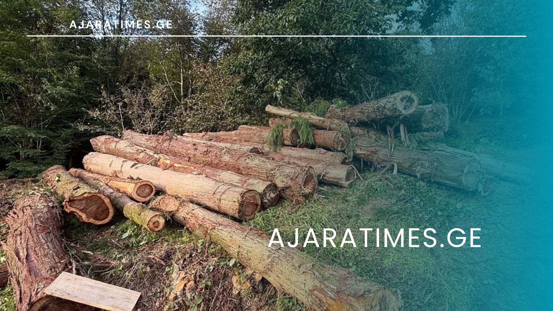 xe tye_AJARATIMES.GE